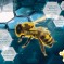 توظيف الذكاء الاصطناعي في أبحاث النحل: مشروع “we4bee” أصبح جزءاً من برنامج مايكروسوفت “الذكاء الاصطناعي لأجل الأرض”